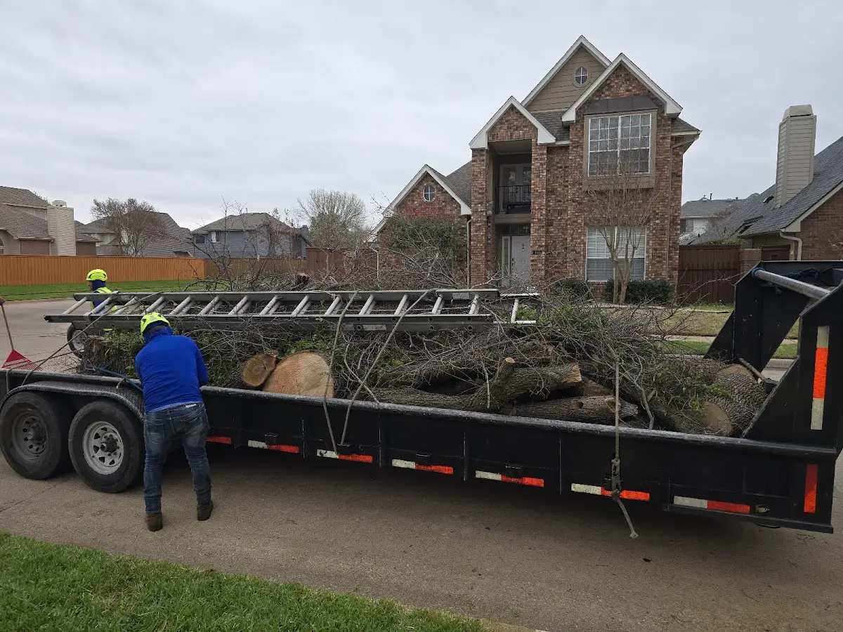 Expert Lot Clearing with proper safety equipment in Sargeant